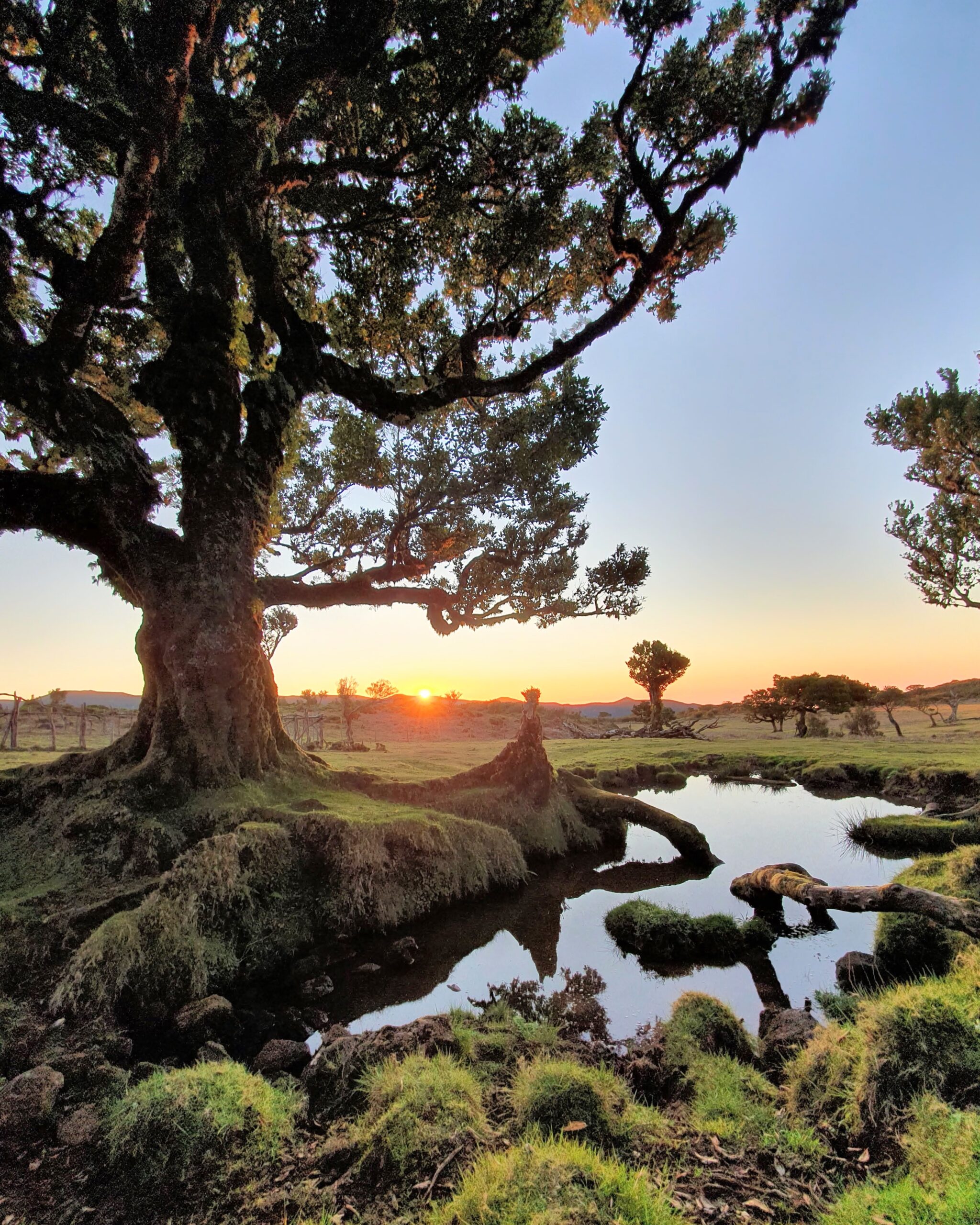 3 Tips voor Betere Groothoekfoto’s