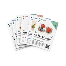 Snapdeck kaartspel: zes kaarten uitgewaaierd, witte achtergrond