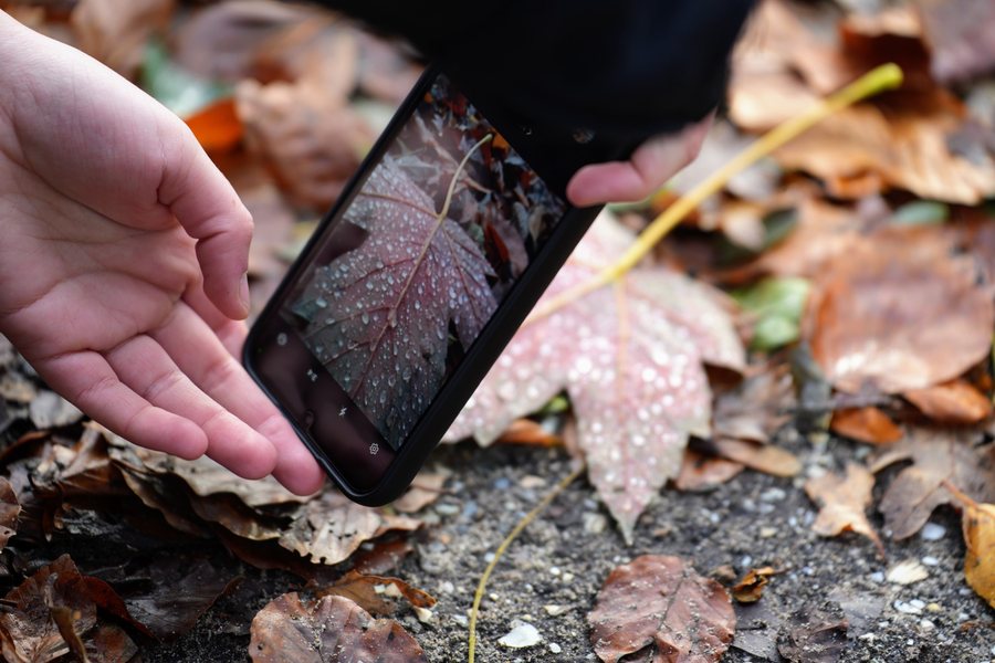Een herfstblad met regendruppels fotograferen met de telefoon