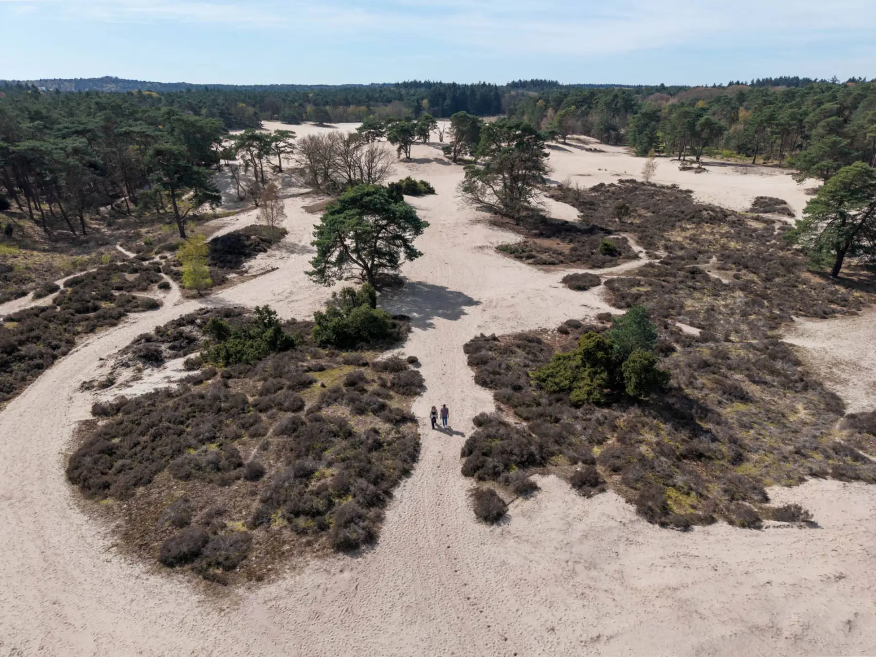 Workshop dronevliegen in de Soesterduinen, vanuit de drone